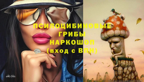 соль курить ск Пересвет