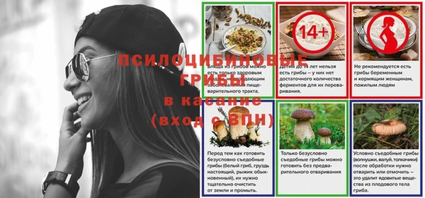винт Белокуриха