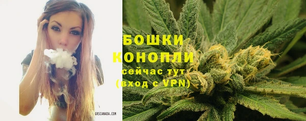 винт Белокуриха
