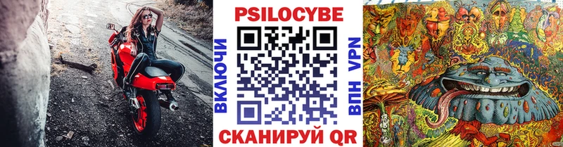 закладки  Благодарный  Галлюциногенные грибы Psilocybe 